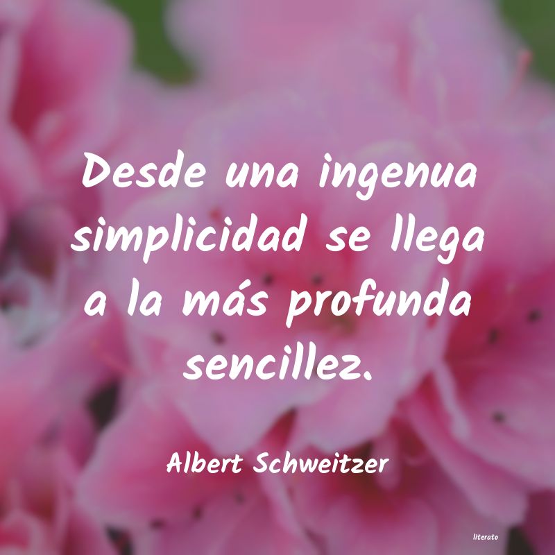 Frases de Albert Schweitzer