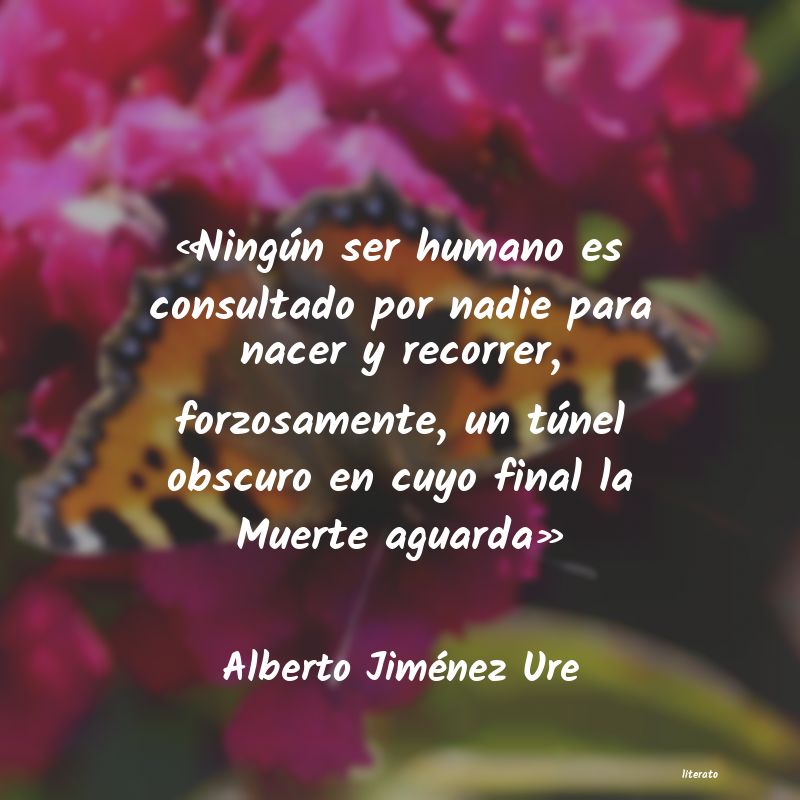 Frases de Alberto Jiménez Ure