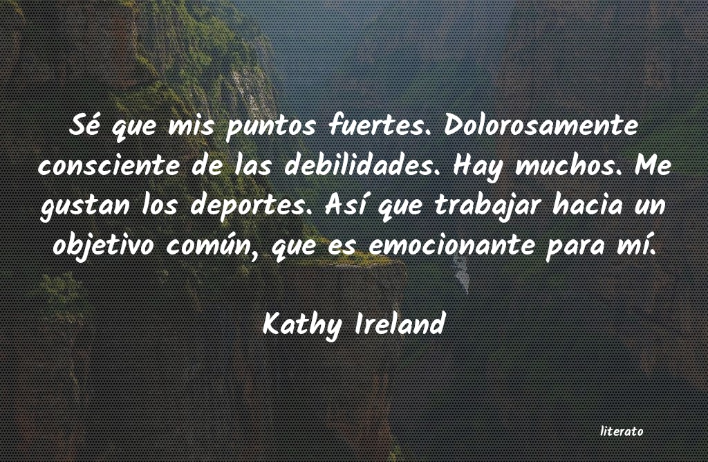 Frases de Kathy Ireland