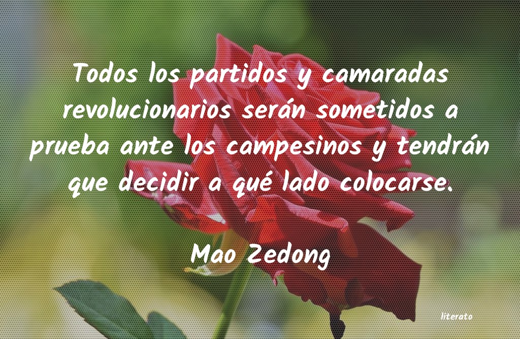 frases de Mao Zedong