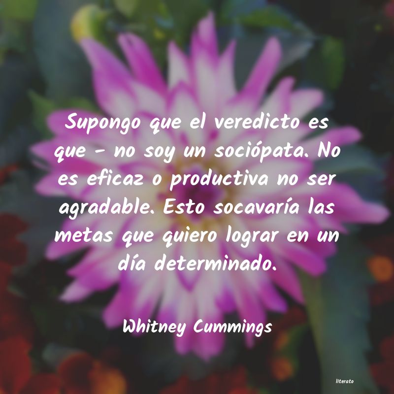 Frases de Whitney Cummings