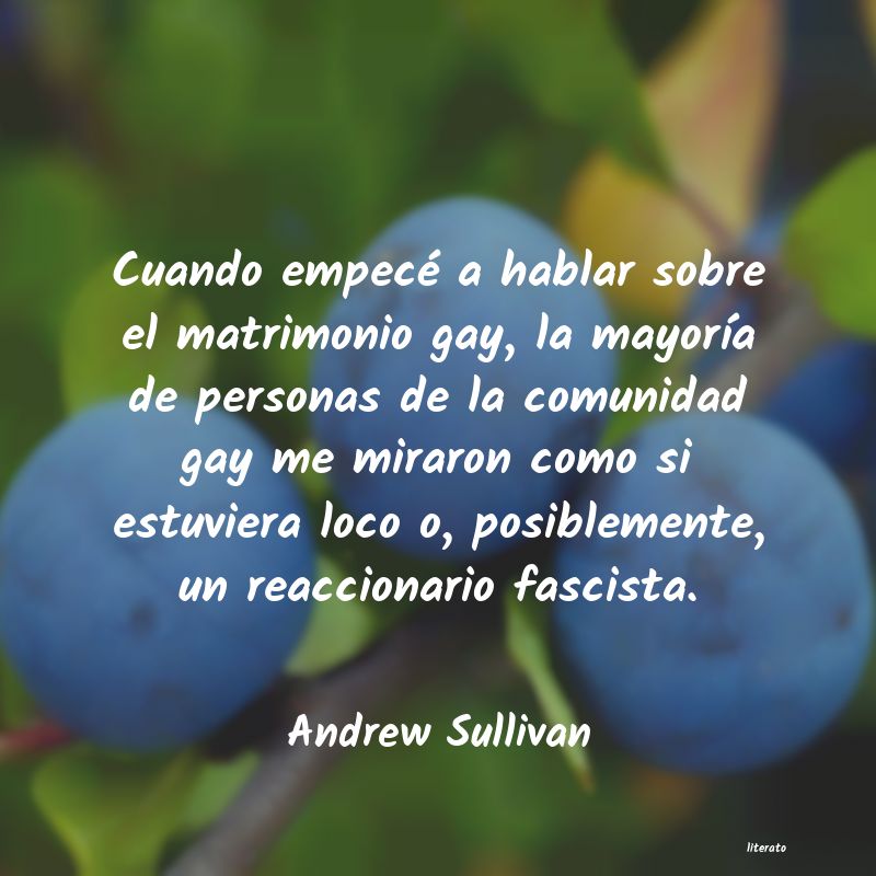 Frases de Andrew Sullivan