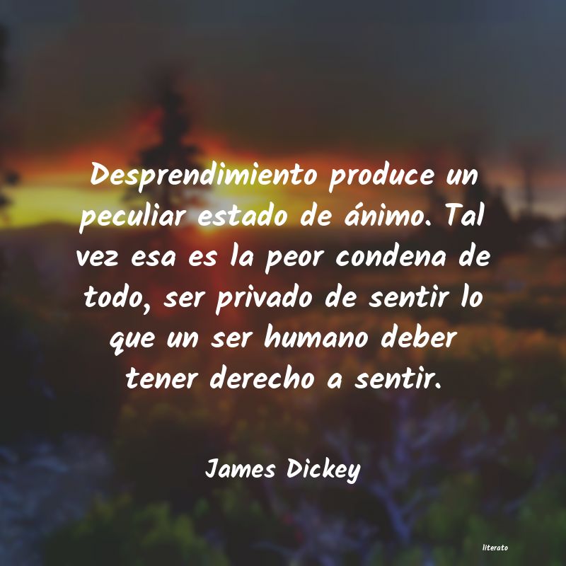 Frases de James Dickey