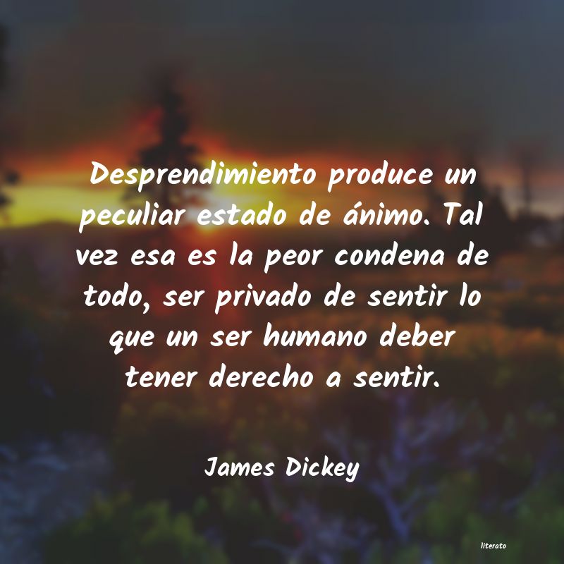 frases de James Dickey