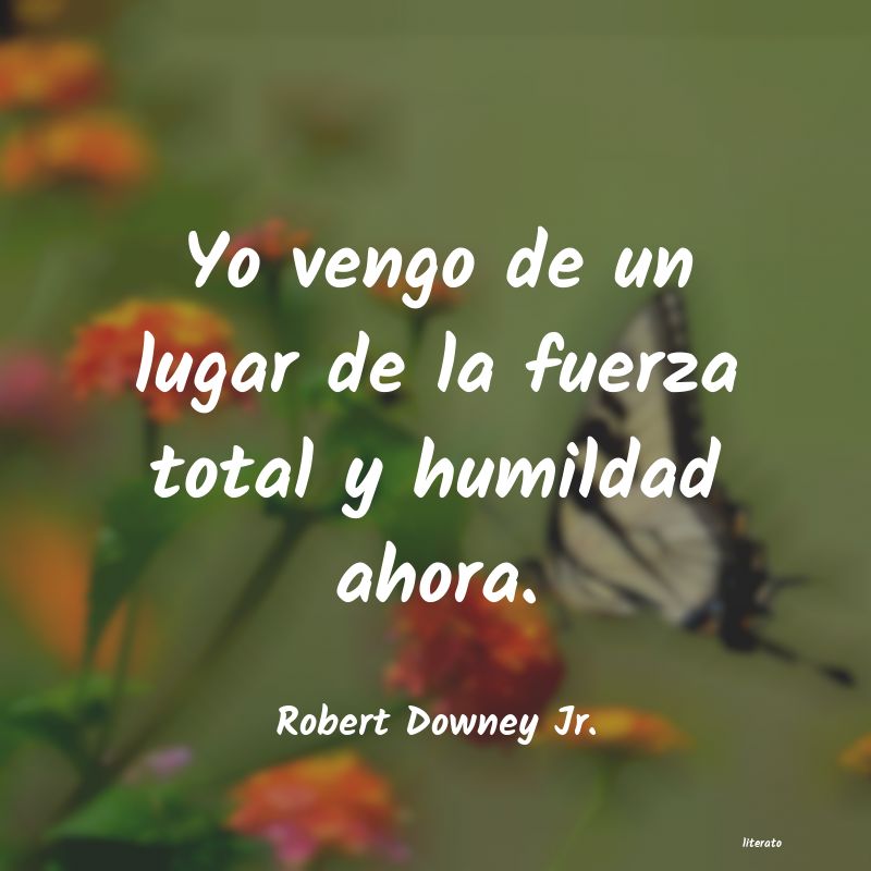 Frases de Robert Downey Jr.