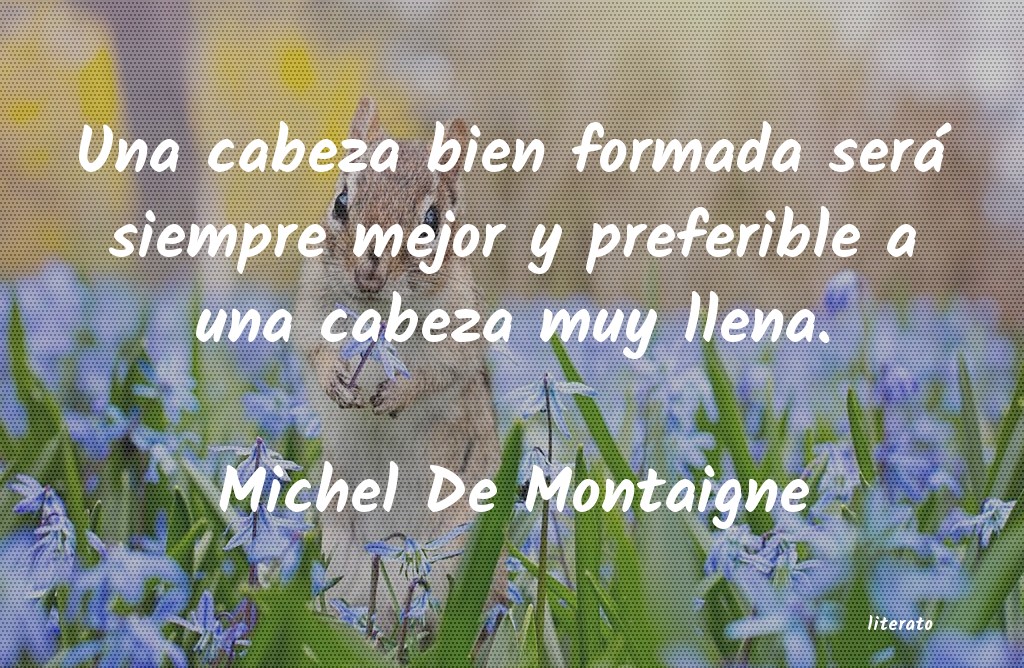 frases de Michel De Montaigne