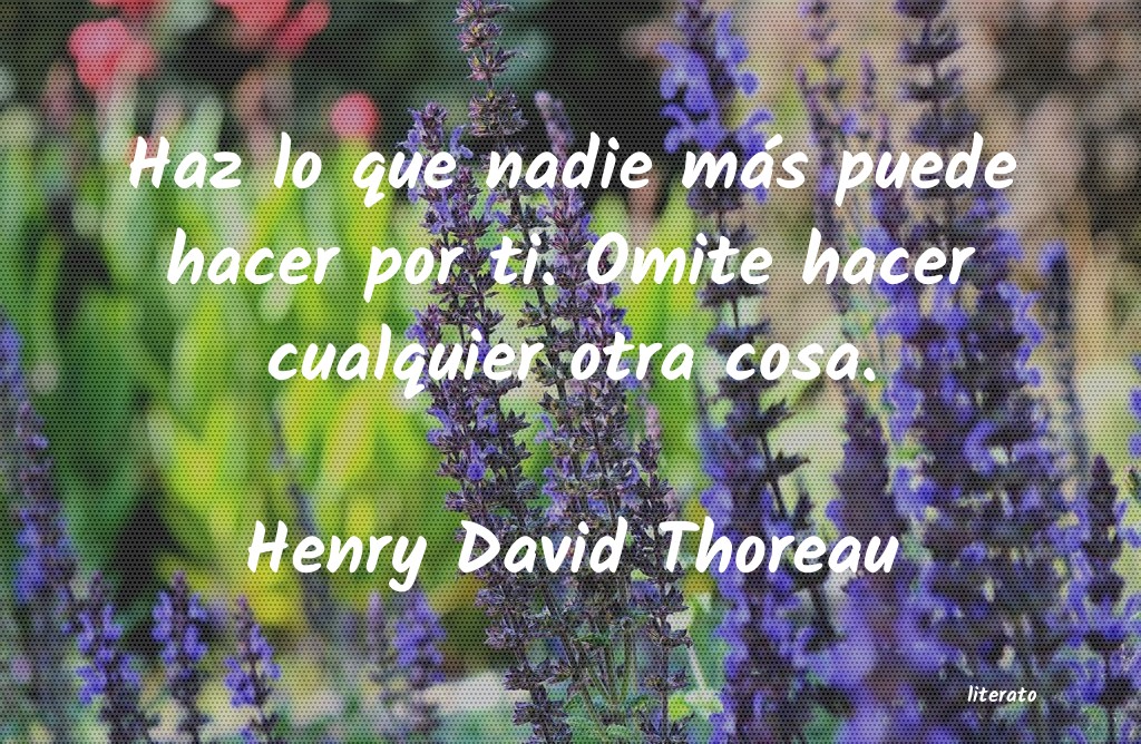 Frases de Henry David Thoreau