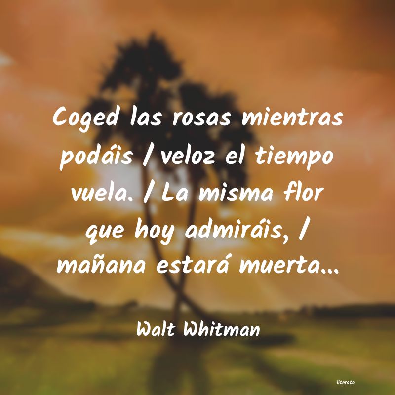 Frases de Walt Whitman