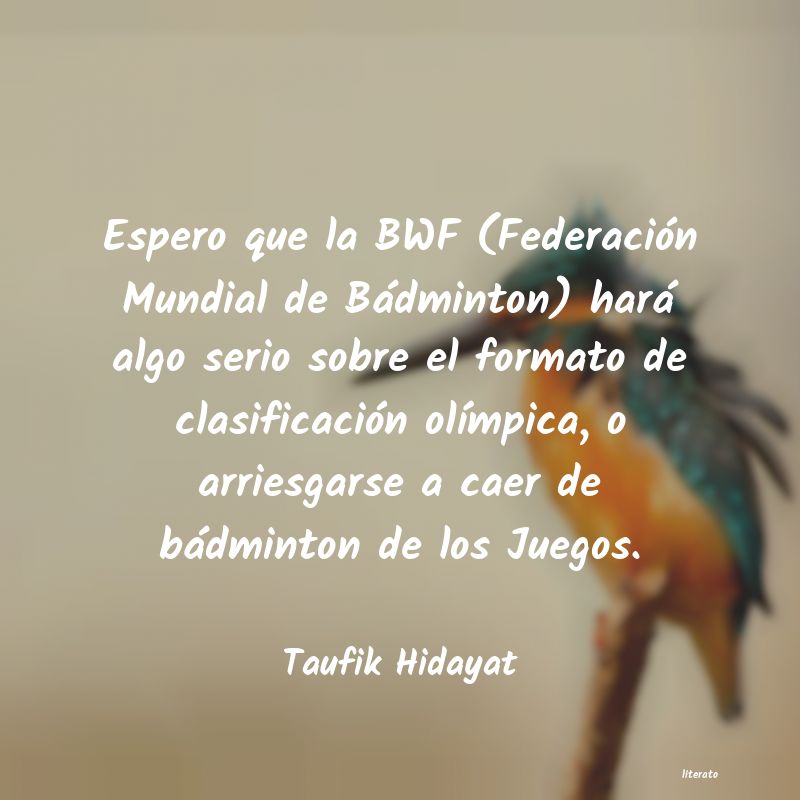 frases de Taufik Hidayat