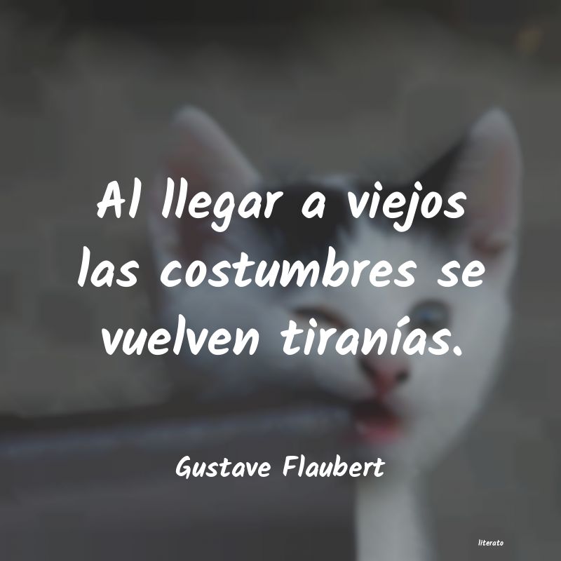 frases de Gustave Flaubert