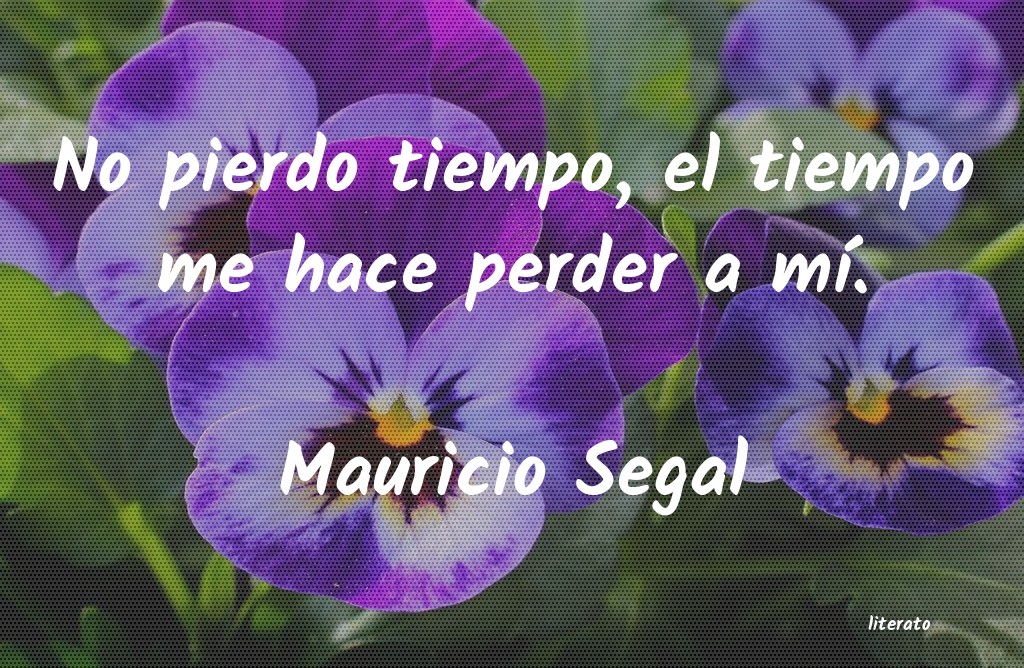 frases de Mauricio Segal