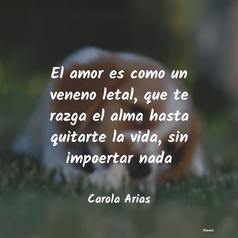 Frases de Carola Arias