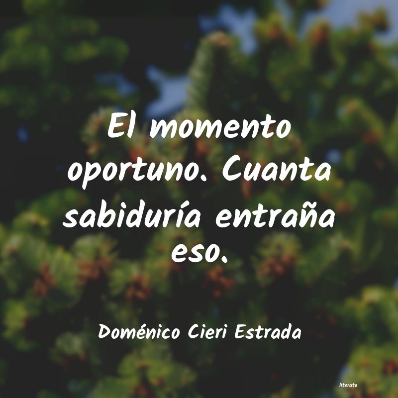 cieri domenico libros