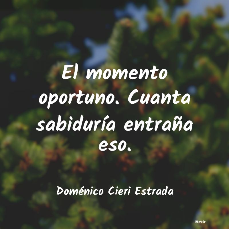 Frases de Doménico Cieri Estrada