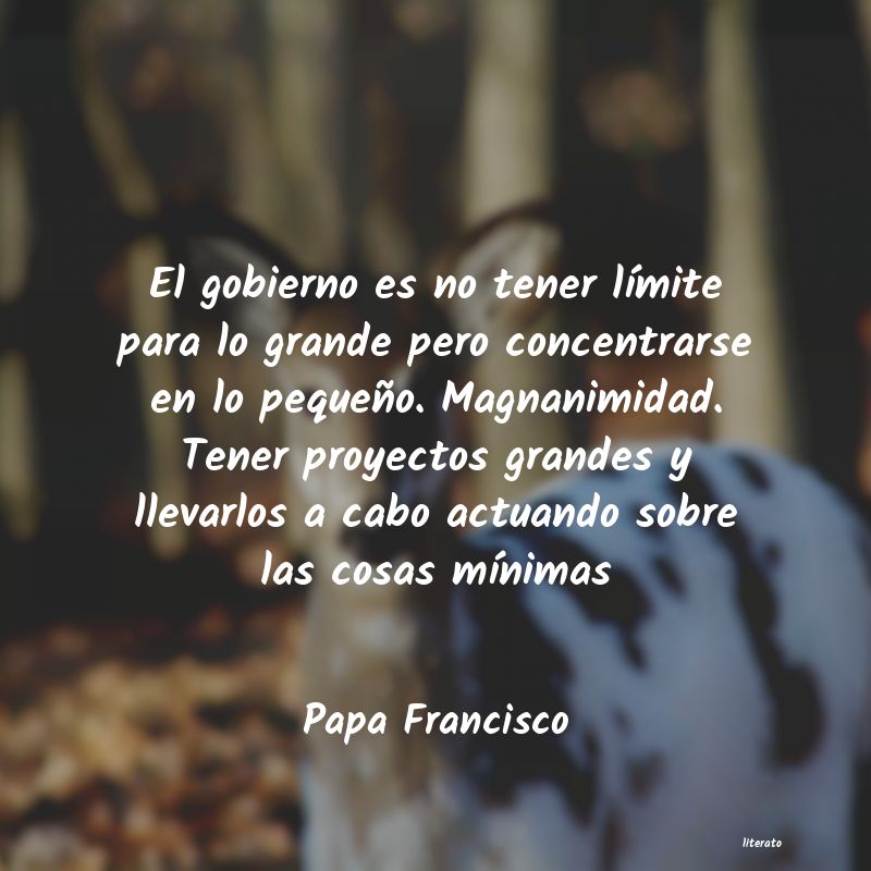 Frases de Papa Francisco