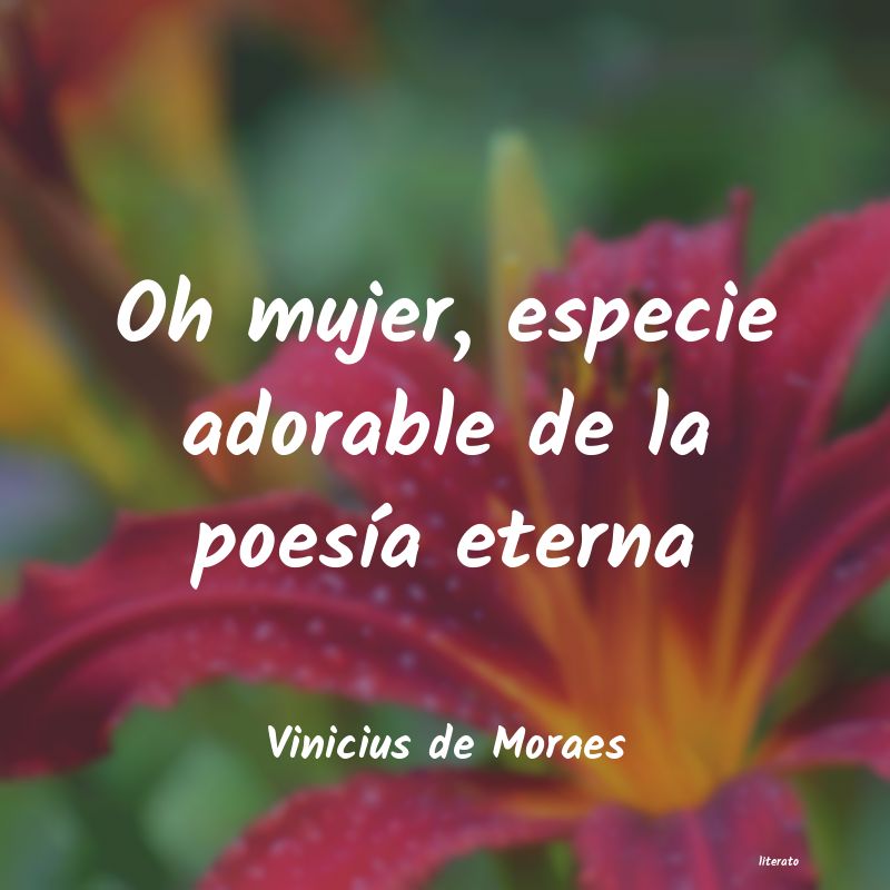 frases de Vinicius de Moraes