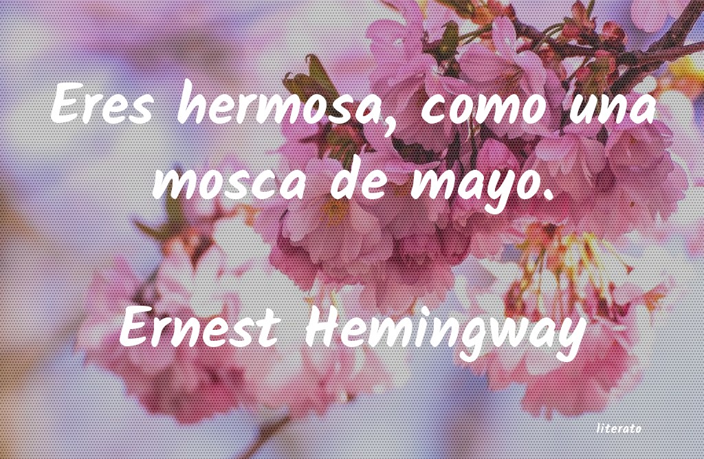 Frases de Ernest Hemingway