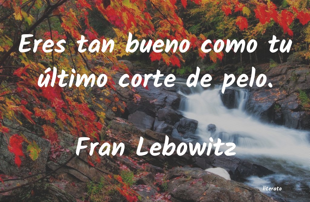 Frases de Fran Lebowitz