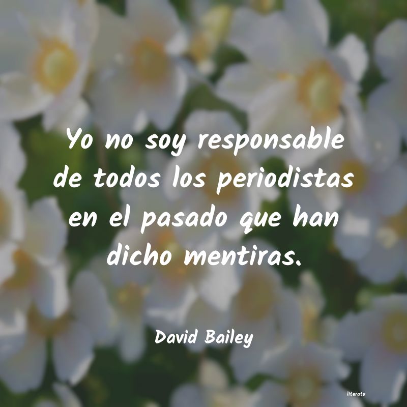 Frases de David Bailey