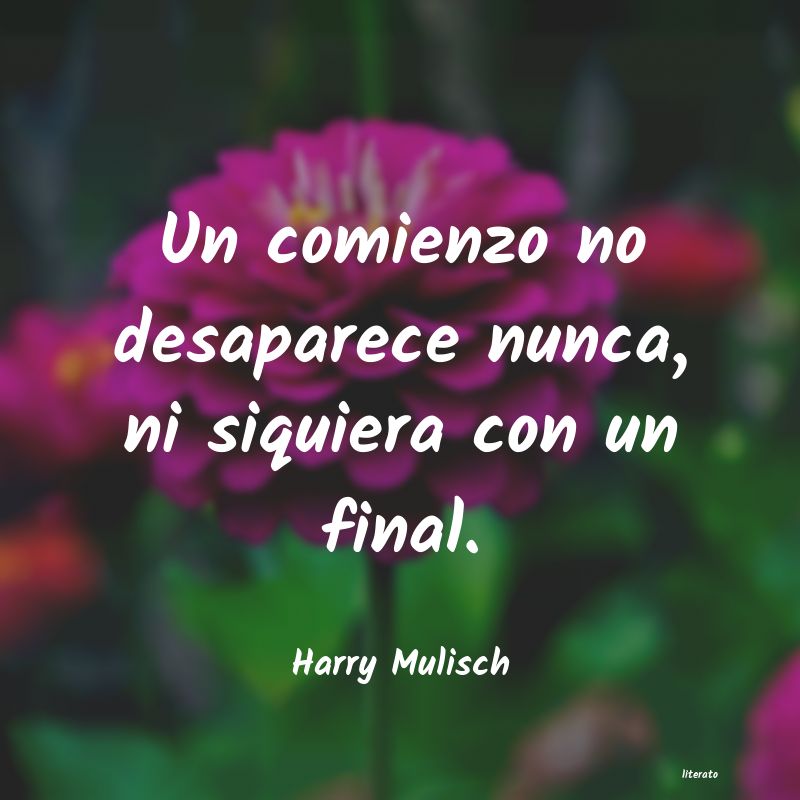 Frases de Harry Mulisch