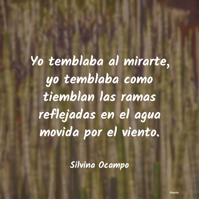 frases de Silvina Ocampo