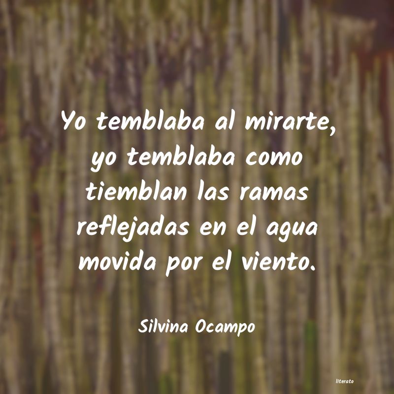 Frases de Silvina Ocampo