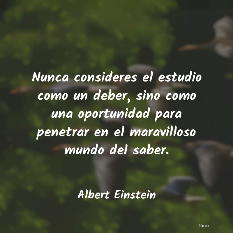 Frases de Albert Einstein