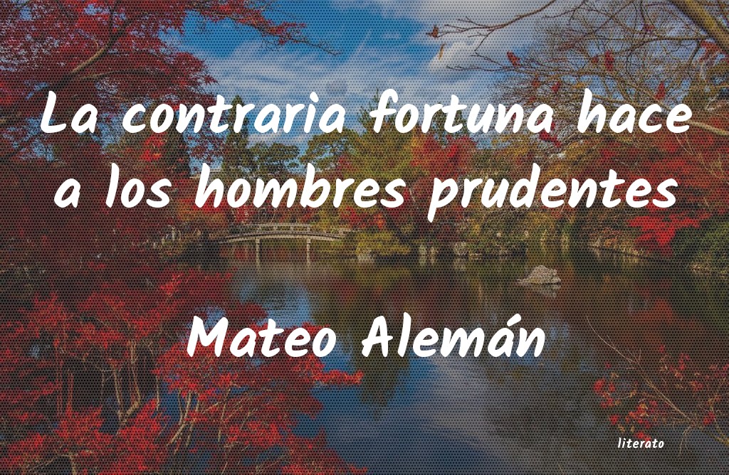 Frases de Mateo Alemán