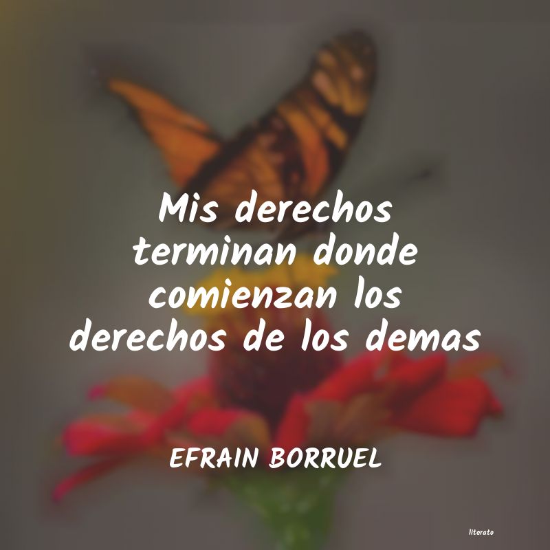 Frases de EFRAIN BORRUEL