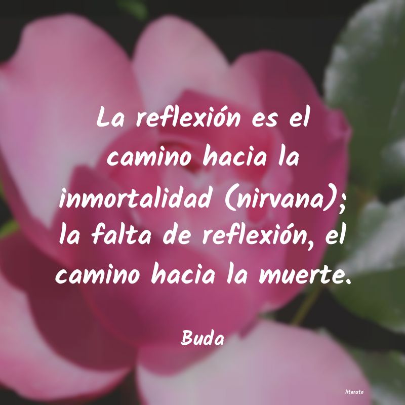 Frases de Buda