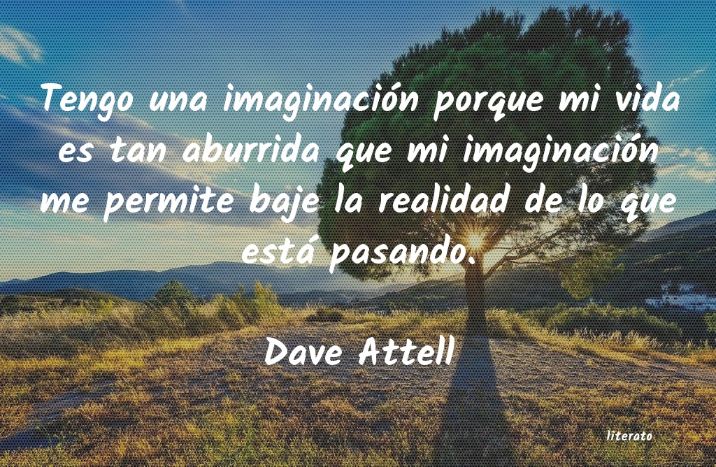 frases de Dave Attell