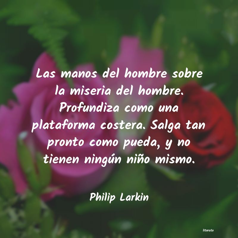 Frases de Philip Larkin