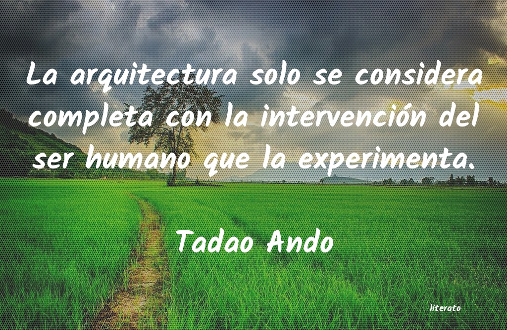 Frases de Tadao Ando