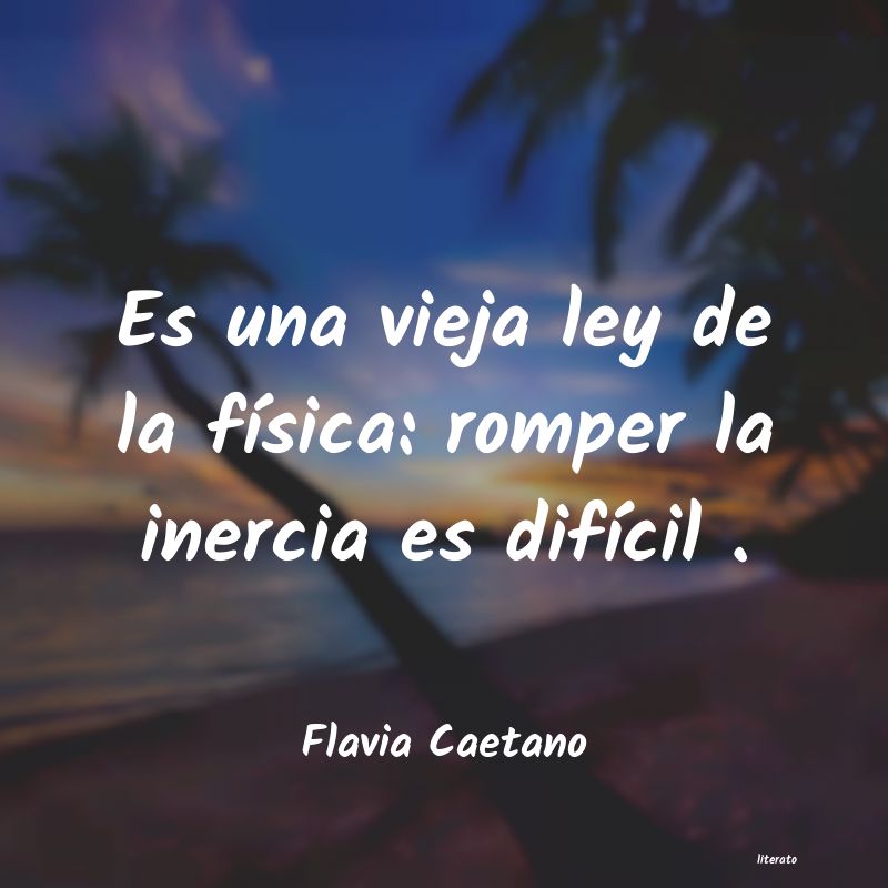 Frases de Flavia Caetano