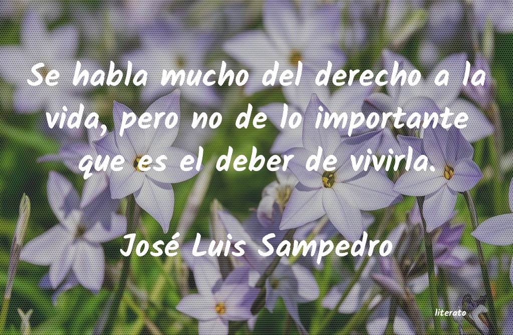 frases de José Luis Sampedro