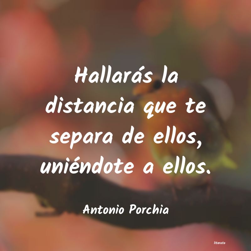 Frases de la distancia nos separa - Literato