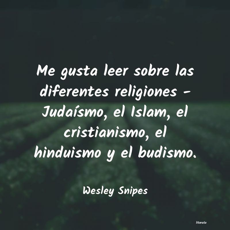 Frases de Wesley Snipes