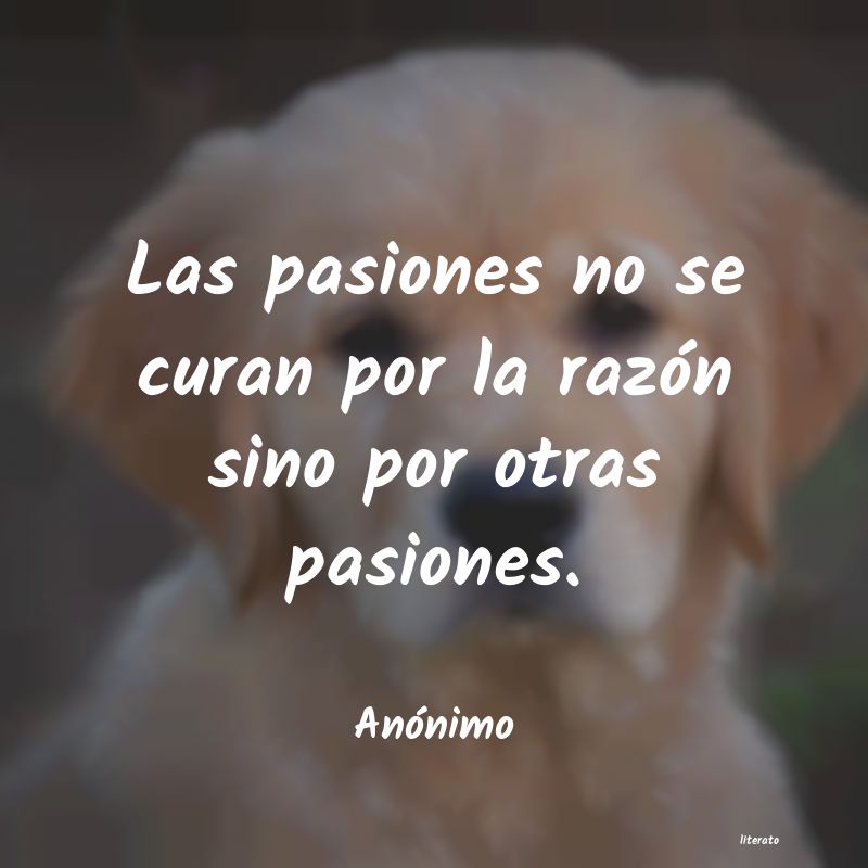 frases