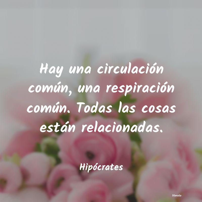 Frases de Hipócrates