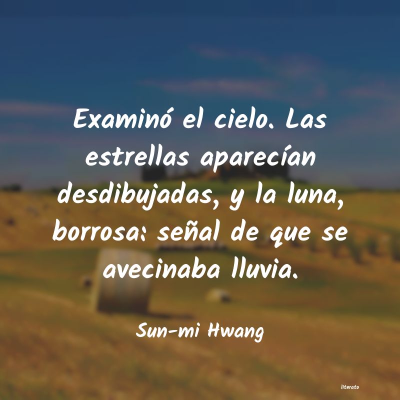 frases de Sun-mi Hwang