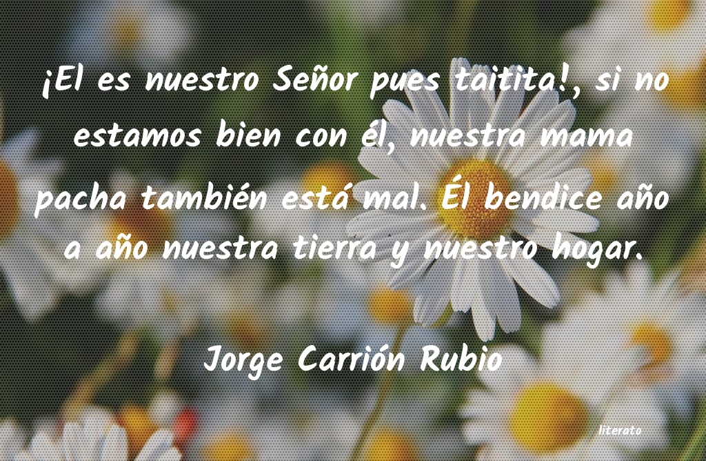 Frases de Jorge Carrión Rubio