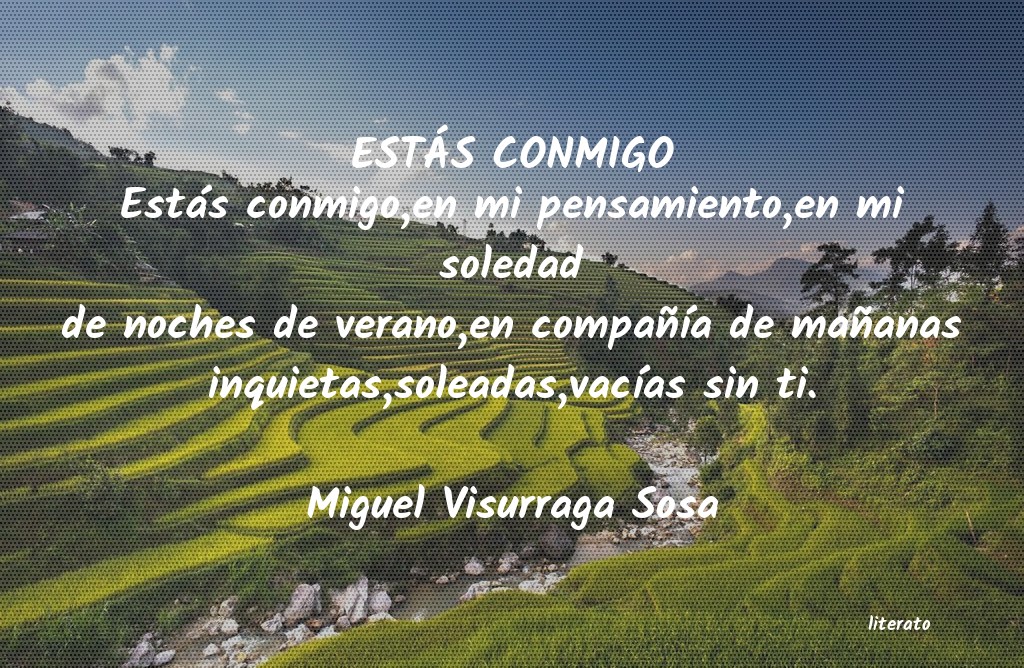 Frases de Miguel Visurraga Sosa