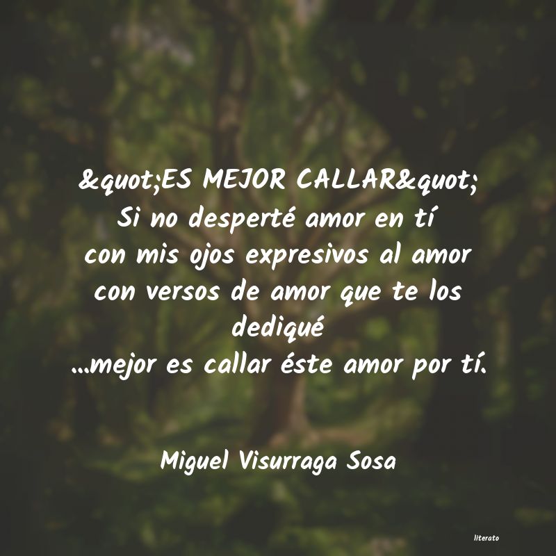 frases de Miguel Visurraga Sosa