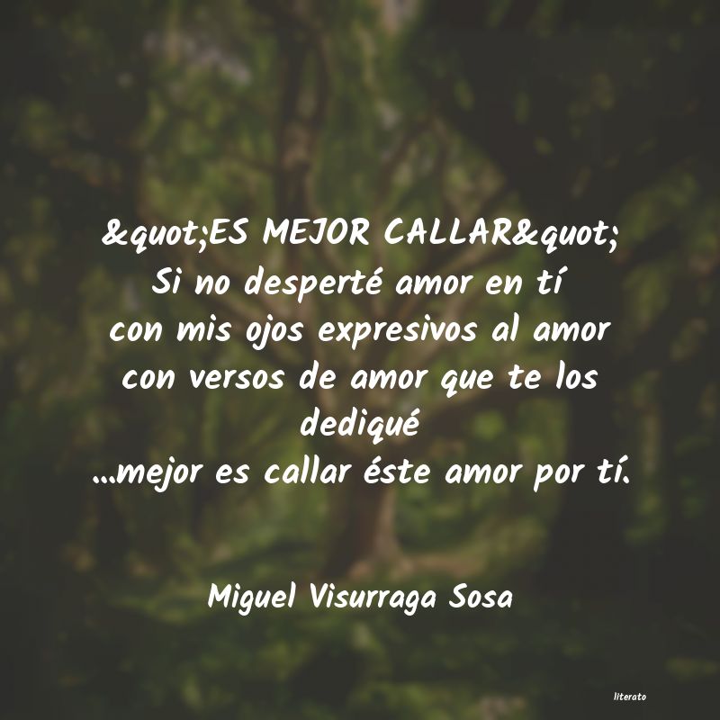 Frases de Miguel Visurraga Sosa