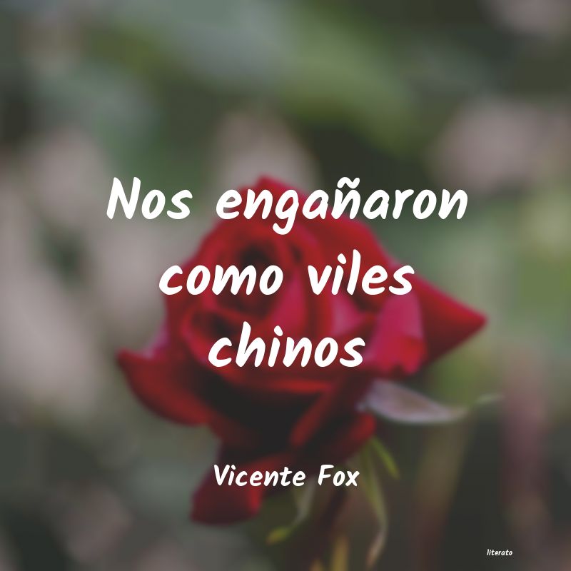 Frases de Vicente Fox