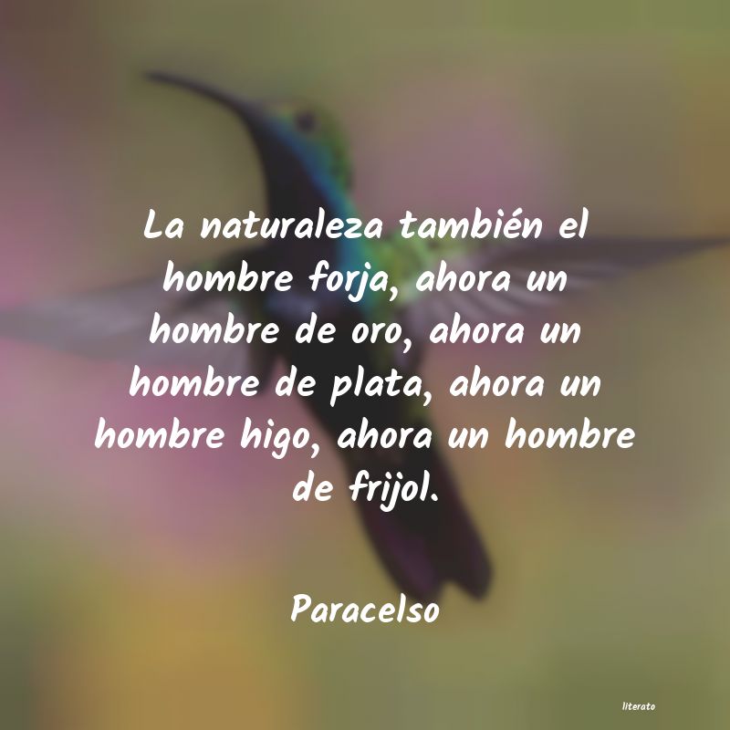 Frases de Paracelso