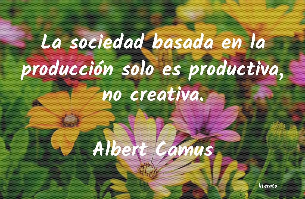 frases de Albert Camus