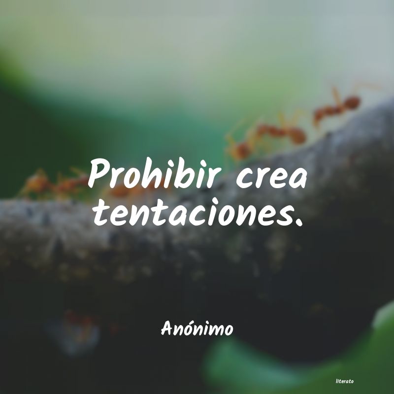 frases