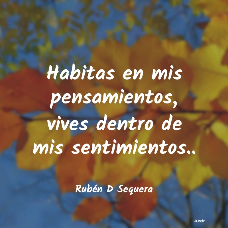 frases de Rubén D Sequera