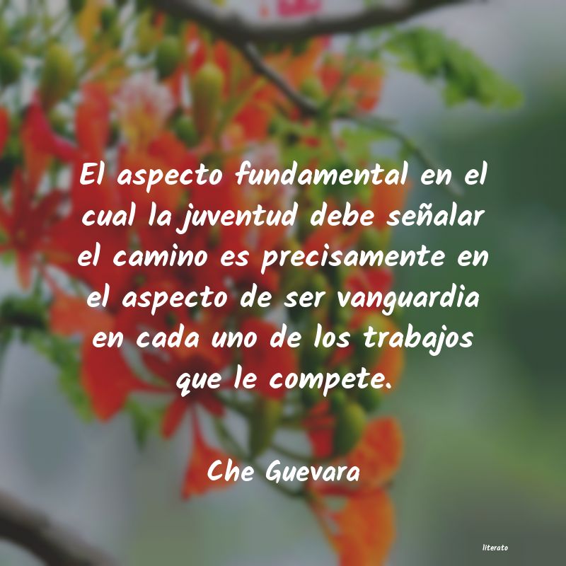 Frases de Che Guevara